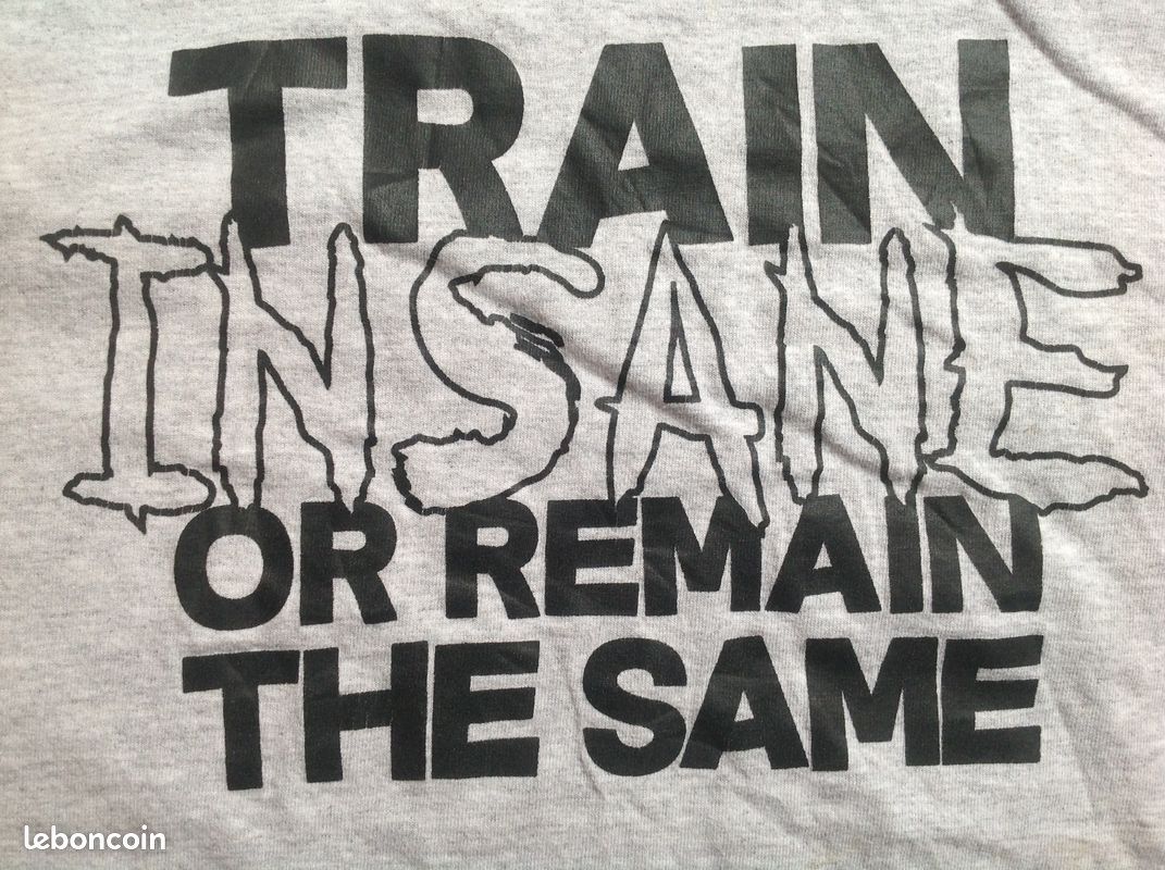 Tee-shirt Train insane or remain the same Envoi Possible (image 2)