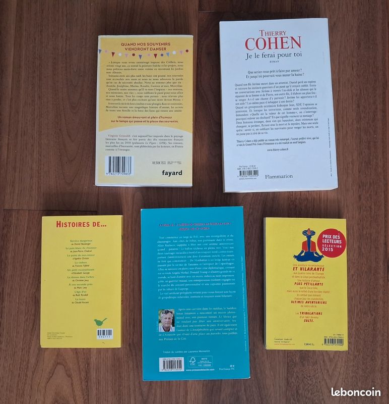 Lot de 4 romans dont 2 en grand format (image 2)