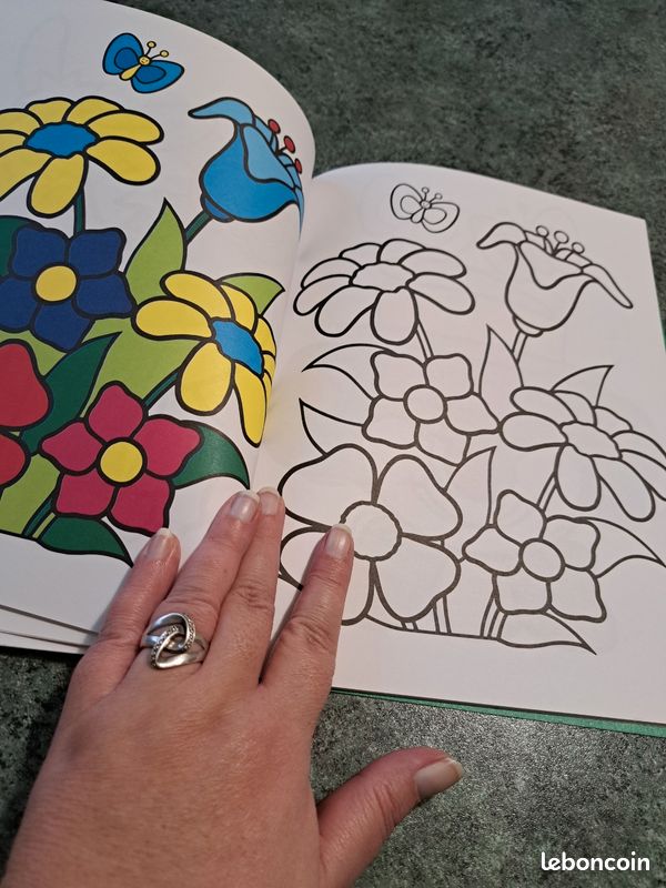 Livre de coloriage (image 5)