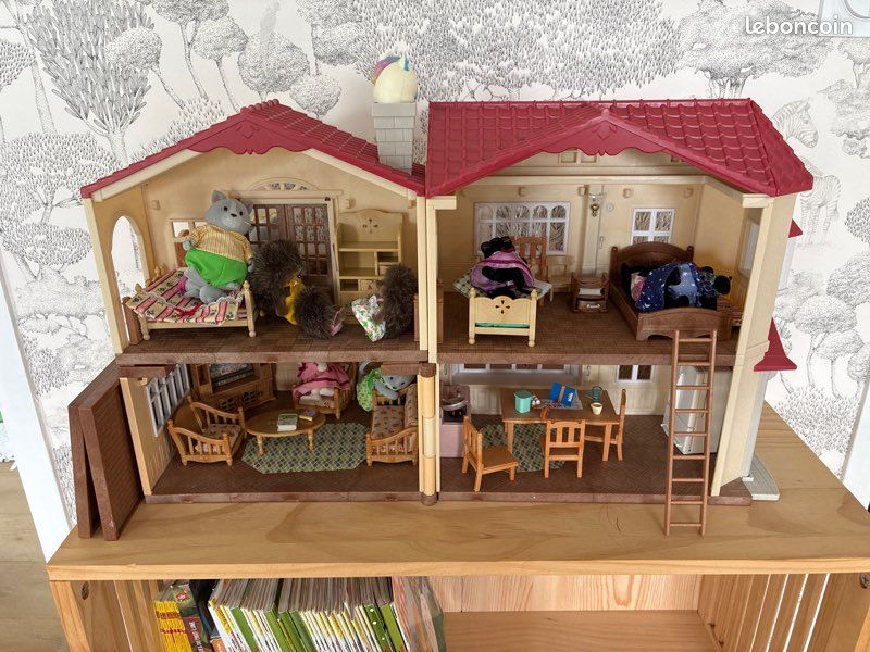 Maison silvania et ses accessoires (image 1)