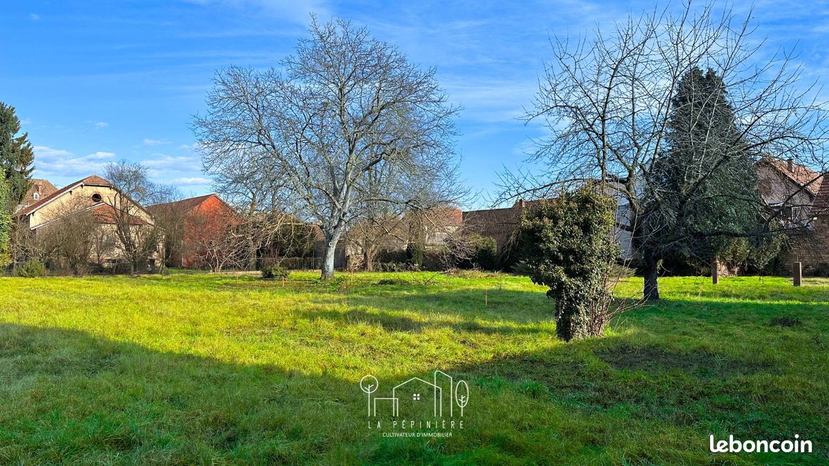 Terrain à bâtir - 500 m2 · à Wolfisheim · 225 000 €