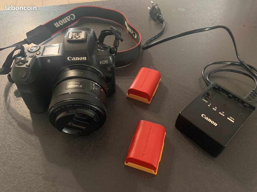 Canon Eos r avec objectif RF 35mm 1.8 macro (image 5)