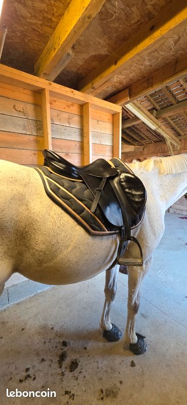 Selle devoucoux socoa (image 3)