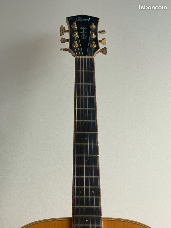Guitare Folk Acoustique Cort Custom Jumbo (type Martin) - Palissandre Massif (image 7)