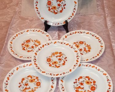 Lot de 5 assiettes à dessert Arcopal collection flore