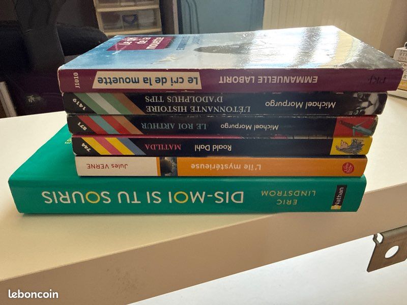 Lot livre (image 3)