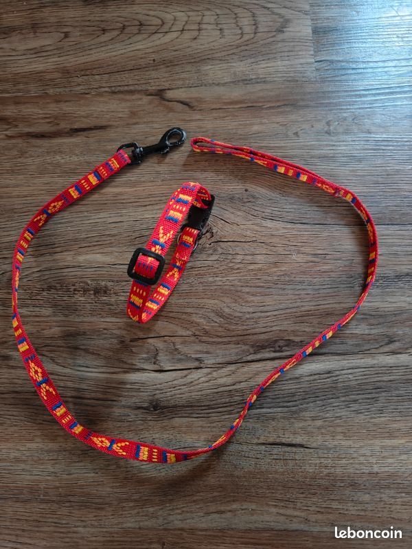 Ensemble laisse et collier (image 1)