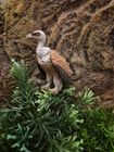 Schleich – Figurine Vautour Fauve – Wild Life – Détails Réalistes – Jouet éducatif – Dès 3 Ans – Réf. 14847