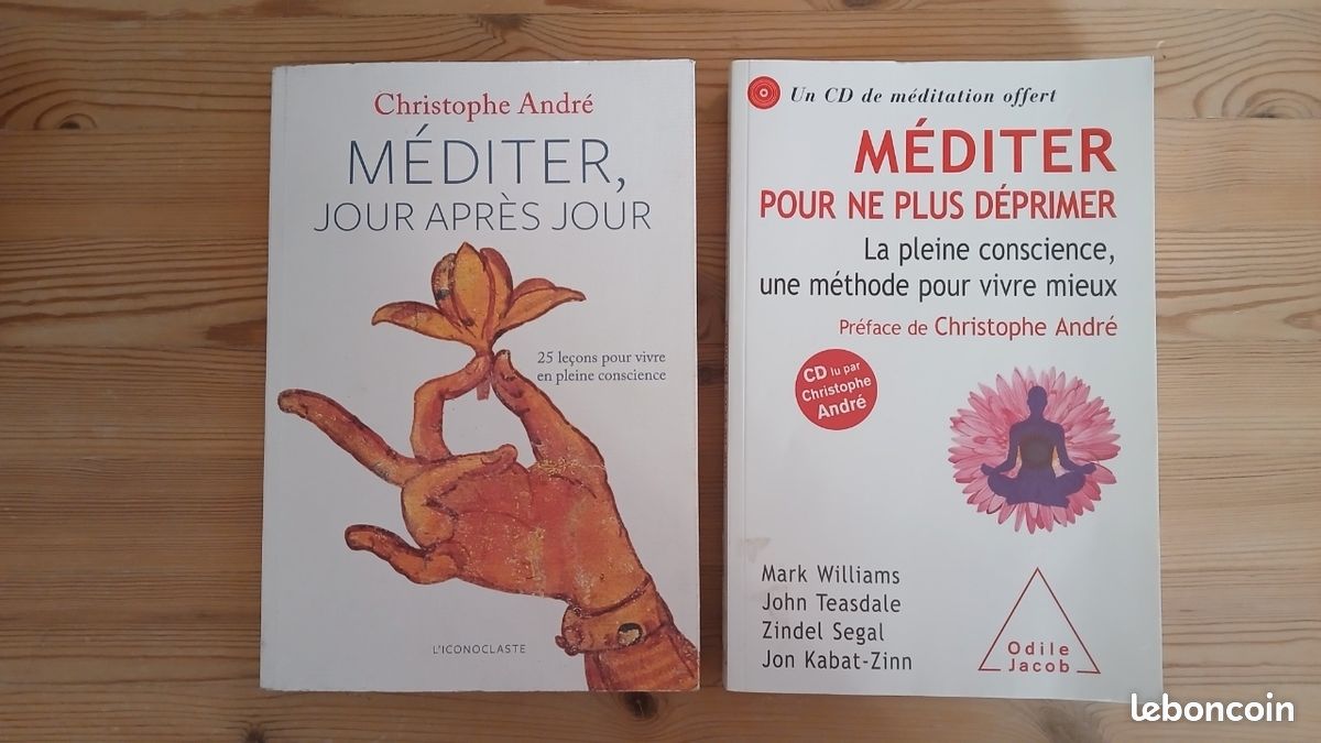 Christophe andre (image 1)