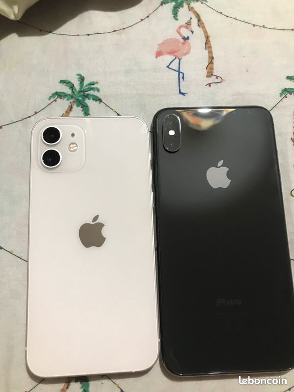 Je vend un lot de 2 iPhone un iPhone 12 128go et un phone xsmax 512go 900 (image 1)