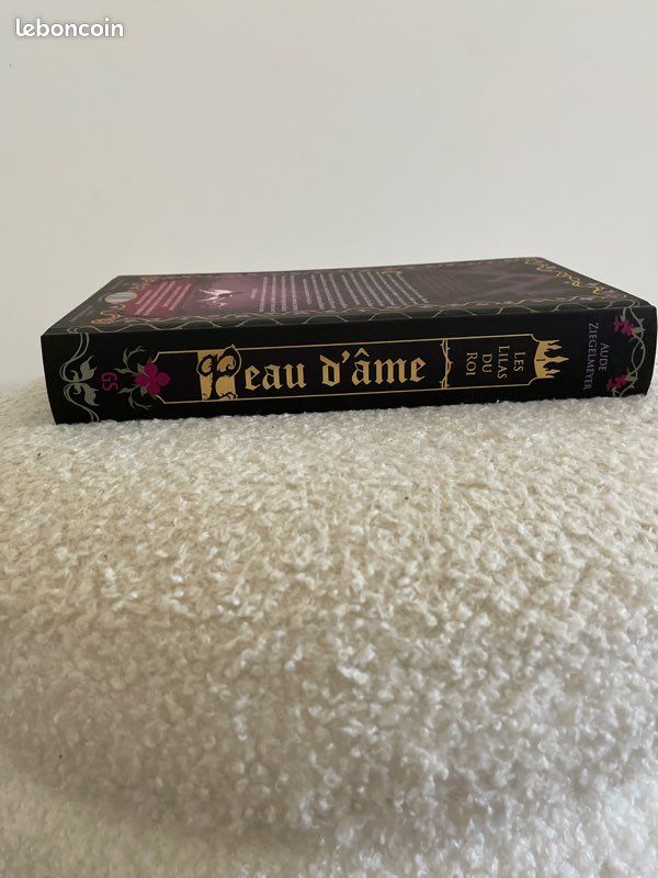 Livre « Peau d’ame » (image 3)