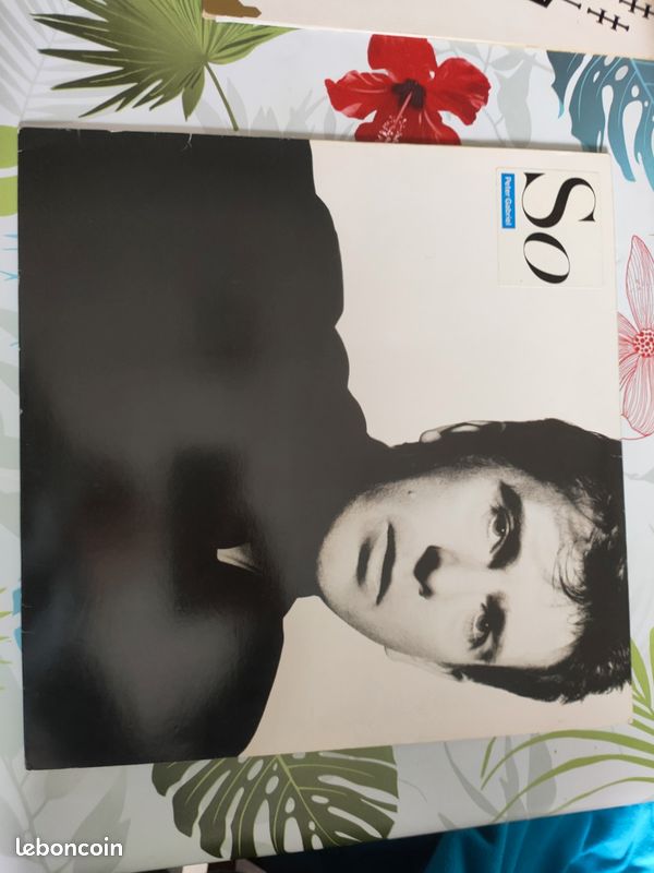 Vinyles 45 t et 33 t années 80 (image 20)