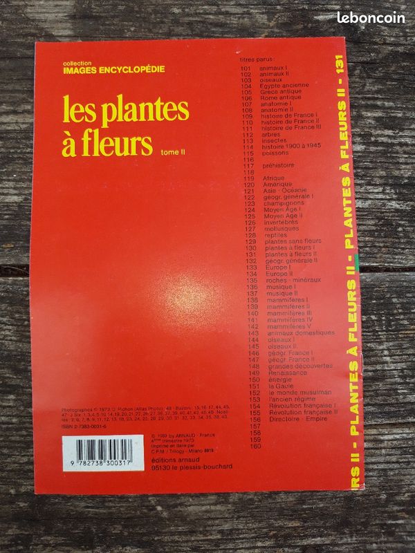 Documents plantes à fleurs (image 2)