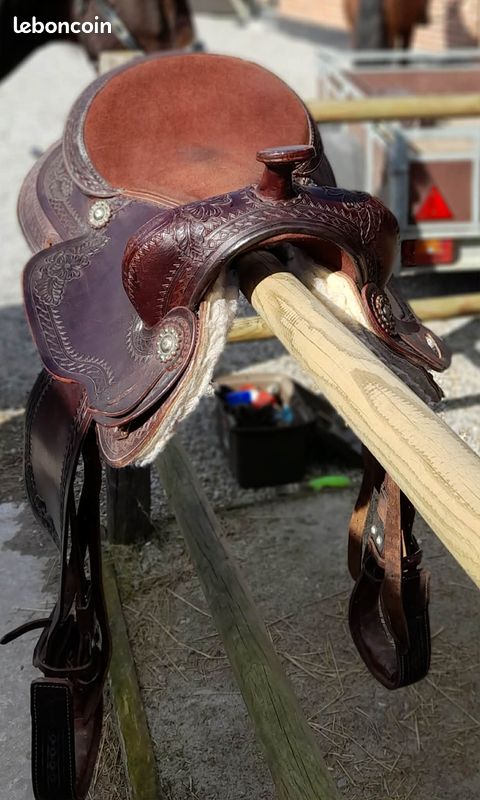 Selle, Cheval, Selle Western PNG - Selle, Cheval, Selle Western