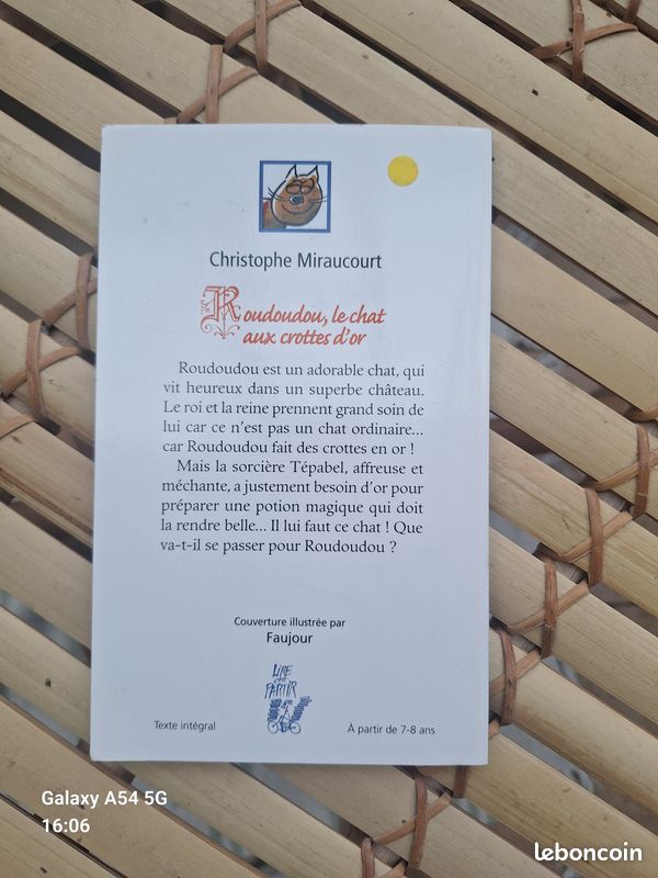 📚 Livre "Roudoudou – Le chat aux crottes d’or" (image 2)