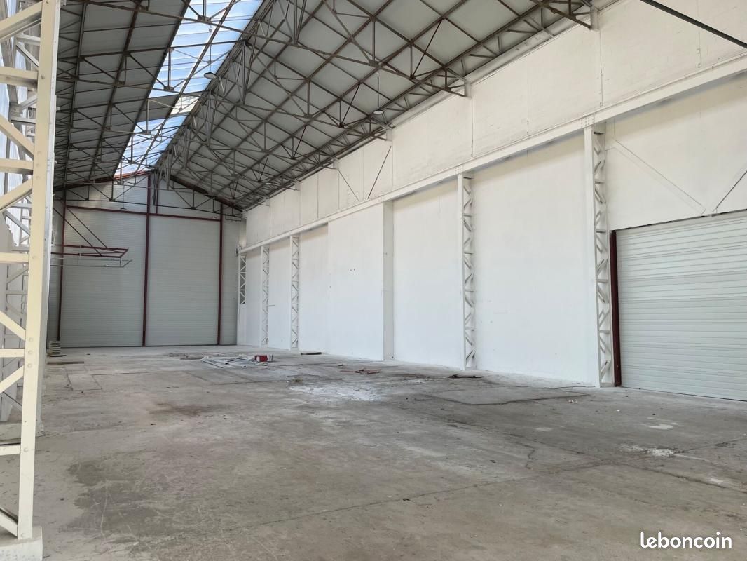 Local d'activité 300 m² (image 3)