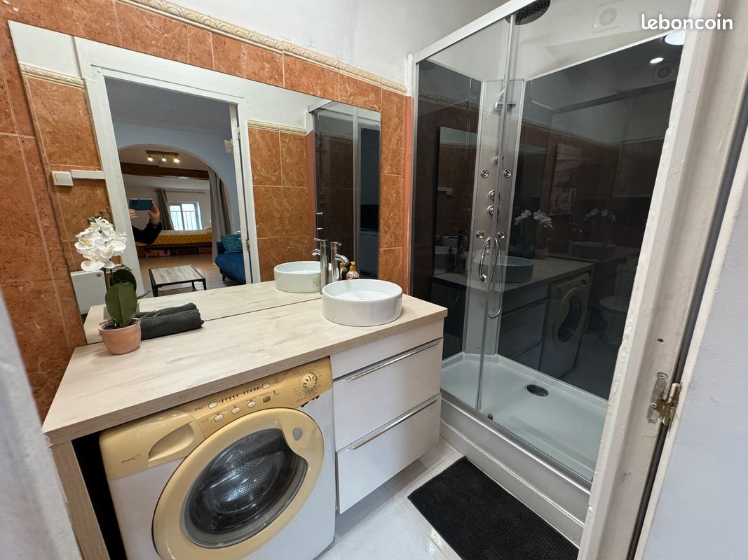 Splendide appartement climatisé à Carcassonne (image 12)