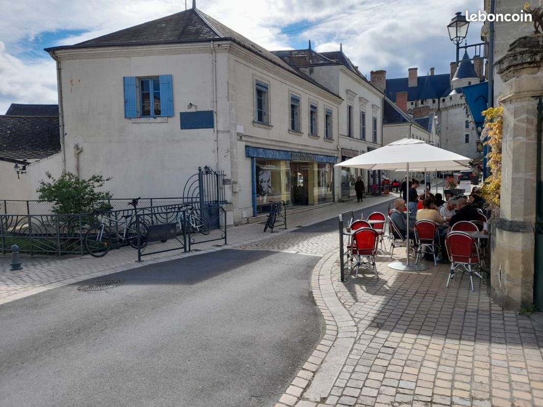 Immeuble 4 pièces 150 m² · à Langeais · 150 m² · 320 000 €