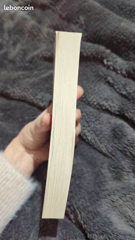 Livre Ne regarde pas, de Michelle Gagnon (image 5)