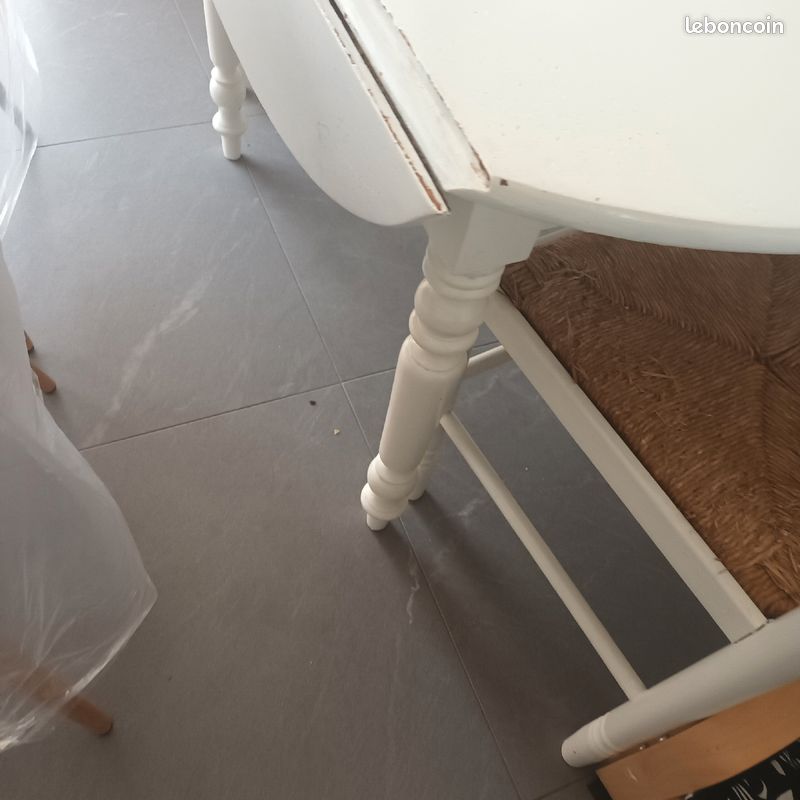 Table ronde (image 1)