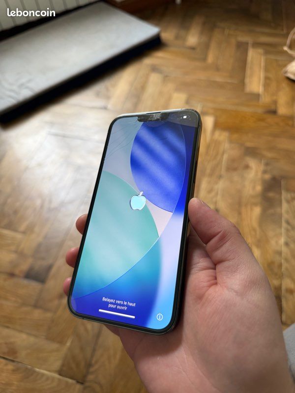 Écran OLED IPhone 13 Pro - Original D'occasion (fonctionnel) - Noir
