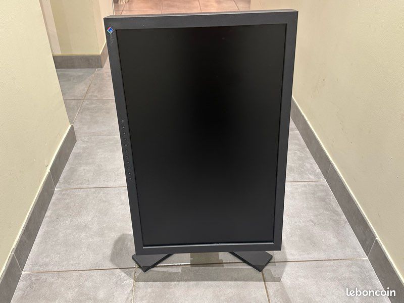 Écran Eizo ColorEdge CG243W – 24 Pouces – Pour Professionnels De L'image – Occasion