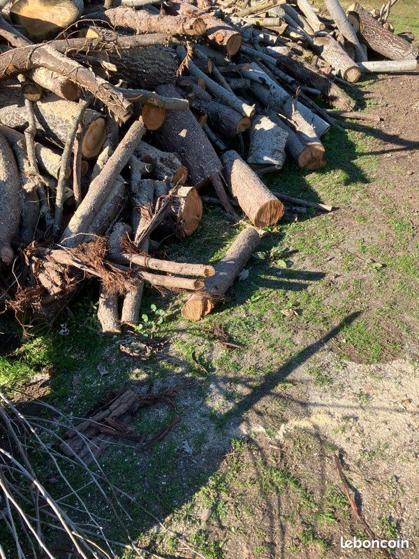 Bois (image 3)