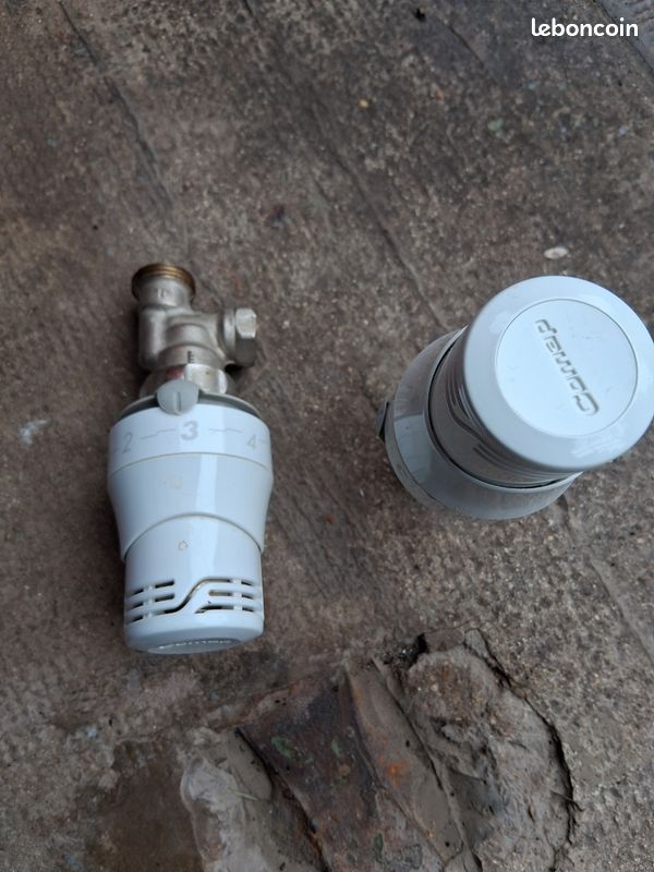 Deux têtes thermostatique Comap 10 (image 1)