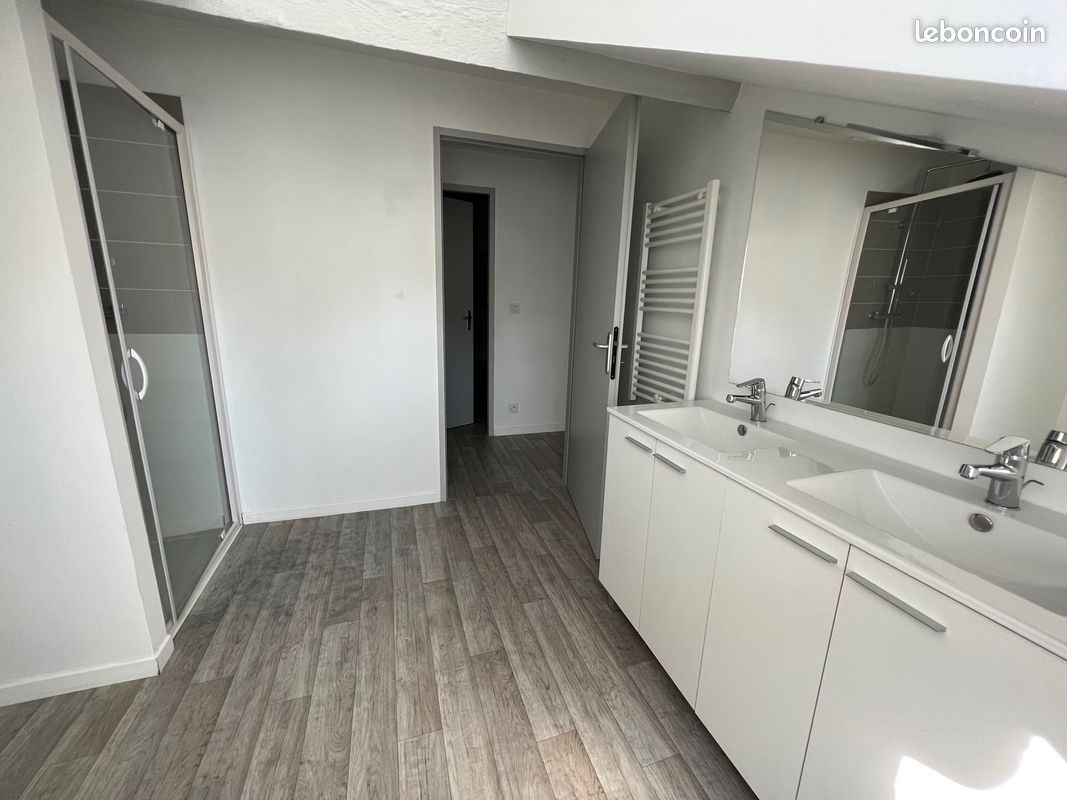 Appartement 3 pièces, rénové, Limoges - Limoges 87000 (image principale 2)