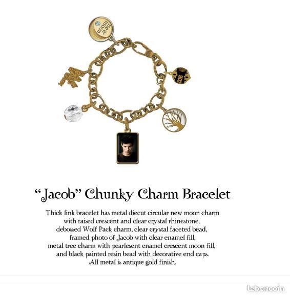Bracelet The Twilight Saga New Moon Chunky Charm Jacob - NECA 2010 - Neuf (image 4)