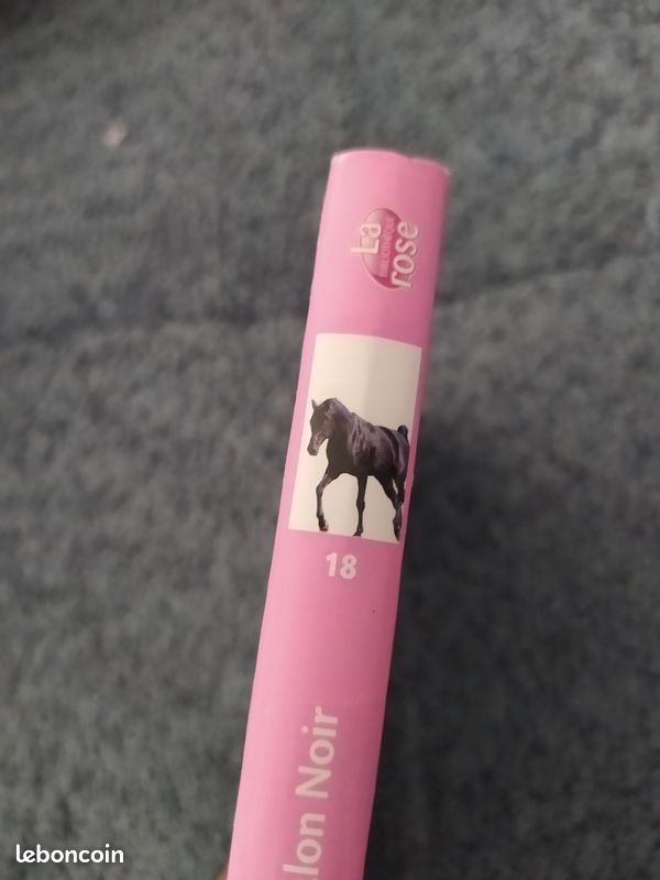 Livre ado (image 3)