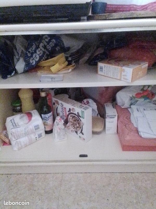 Meuble de cuisine à rénover (image 2)