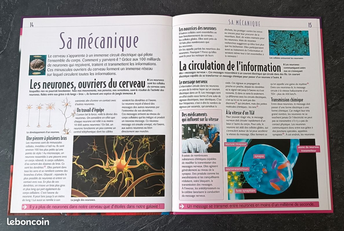 Livre Atlas des juniors le cerveau - Édition Atlas Jeunesse (image 6)