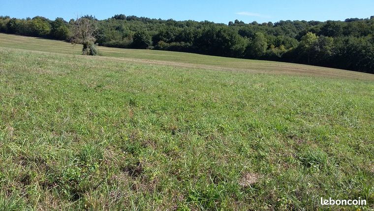Terrain agricole