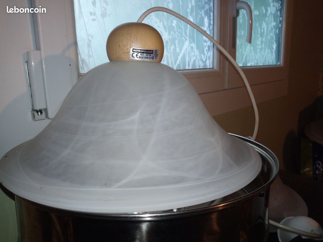 2 Lampes en verre opaline (image 1)