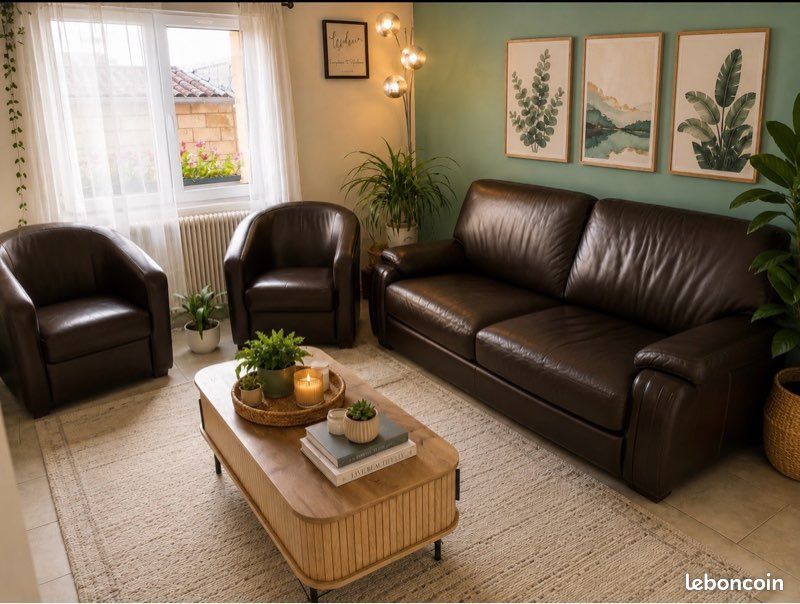 Fauteuil en cuir marron foncé, 2 cabriolet et 2 places (image 1)