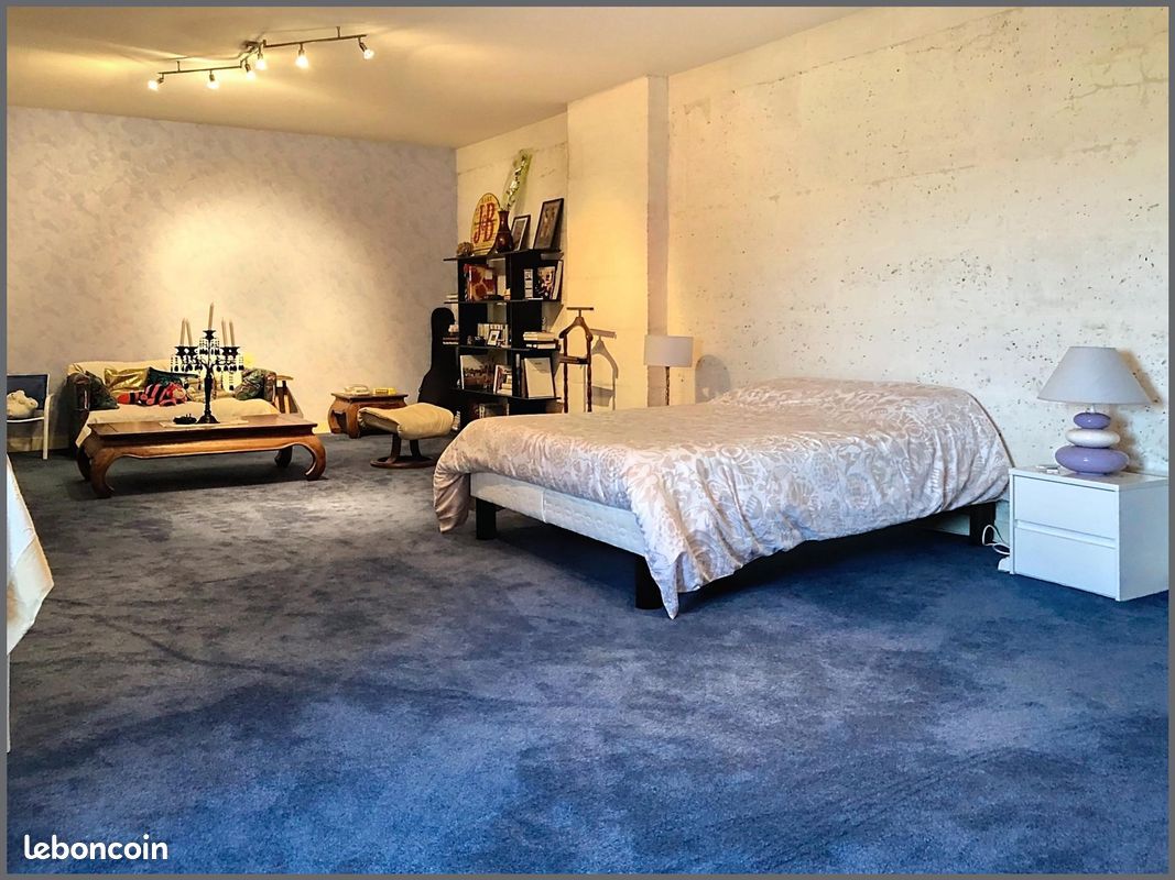 Propriété 18 pièces 620 m² (image 17)