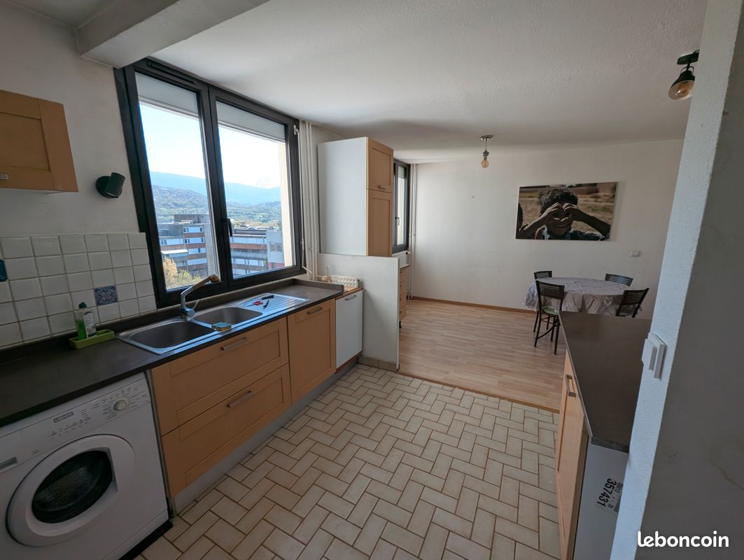 Appartement T3-T4 style Loft étage élevé allée de la Pelouse Grenoble 38100 (image 4)