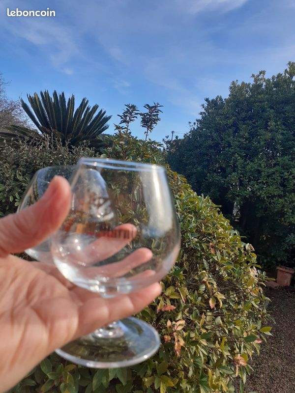 Verres à cognac (image 2)