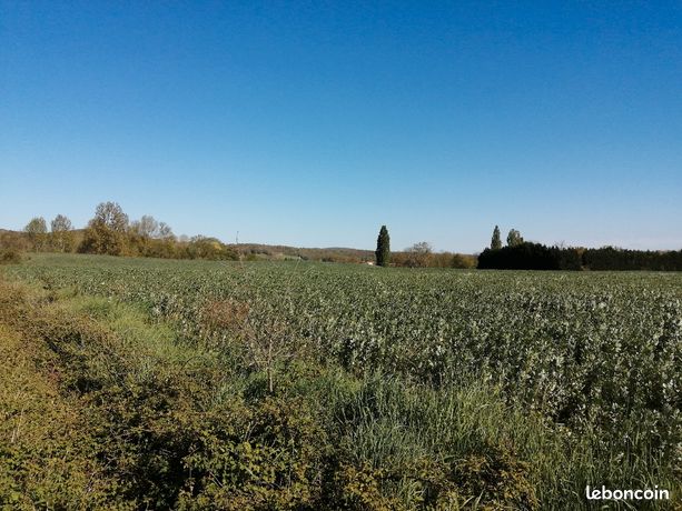 Terrain constructible avec CU