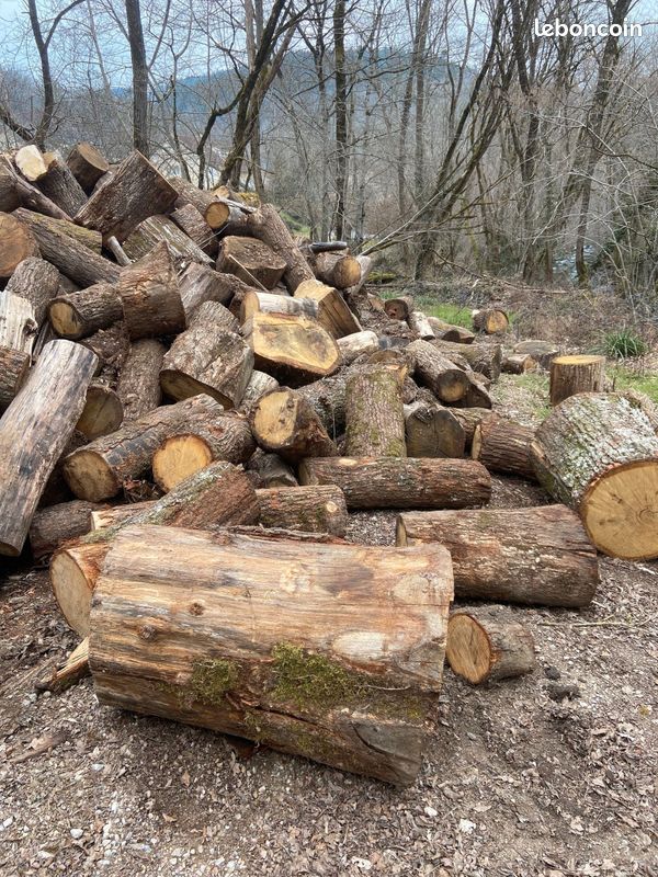 Rondins de chêne à refendre pour bois de chauffage (image 1)