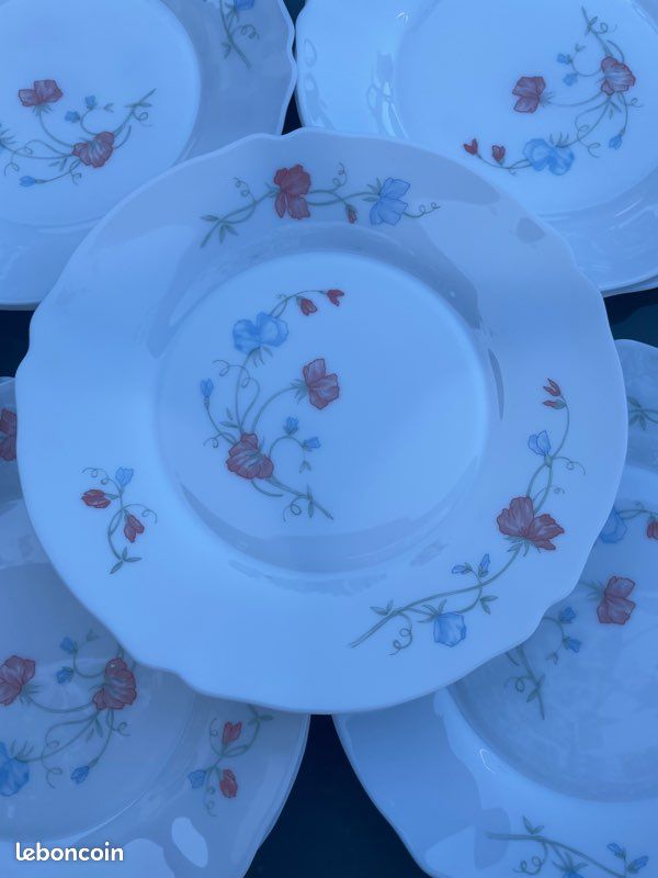 6 assiettes décoratives Arcopal, oignons bruns, français - France