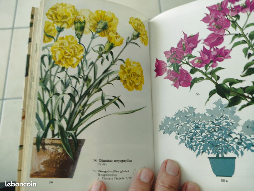 Livre plante et fleurs, édition fernand nathan (image 2)