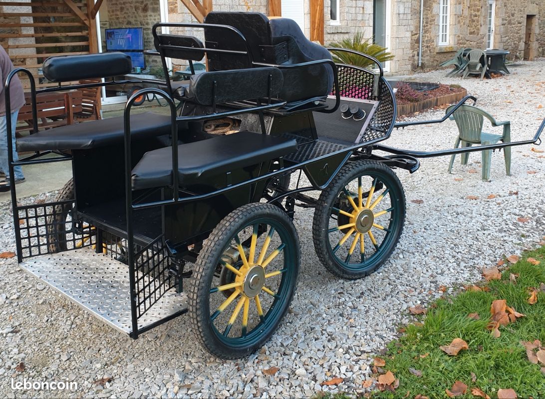 Mes amis les chevaux: caleche ancienne petit duc