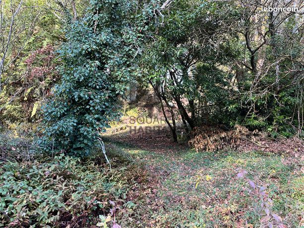 Terrain 5794 m² ST EPAIN
