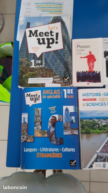 Livres Lycée Bellevue 1ere (image 3)