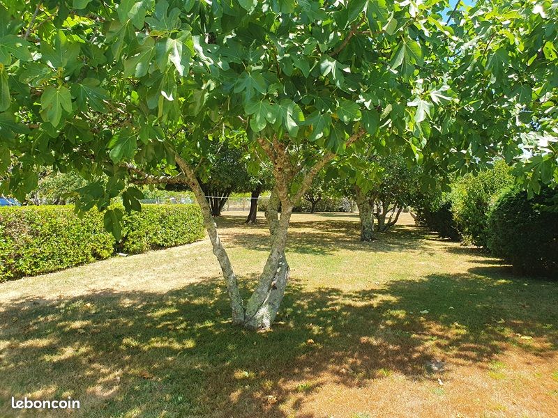 Terrain 650 m² Fargues Saint Hilaire · à Fargues-Saint-Hilaire · 110 000 €
