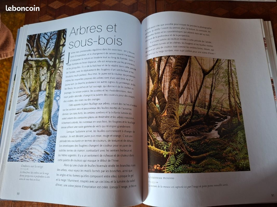 Une Peinture à L'huile D'un Ruisseau Dans Les Bois | Vecteur Premium Une Peinture à L'huile D'un Ruisseau Dans Les Bois | Vecteur Premium