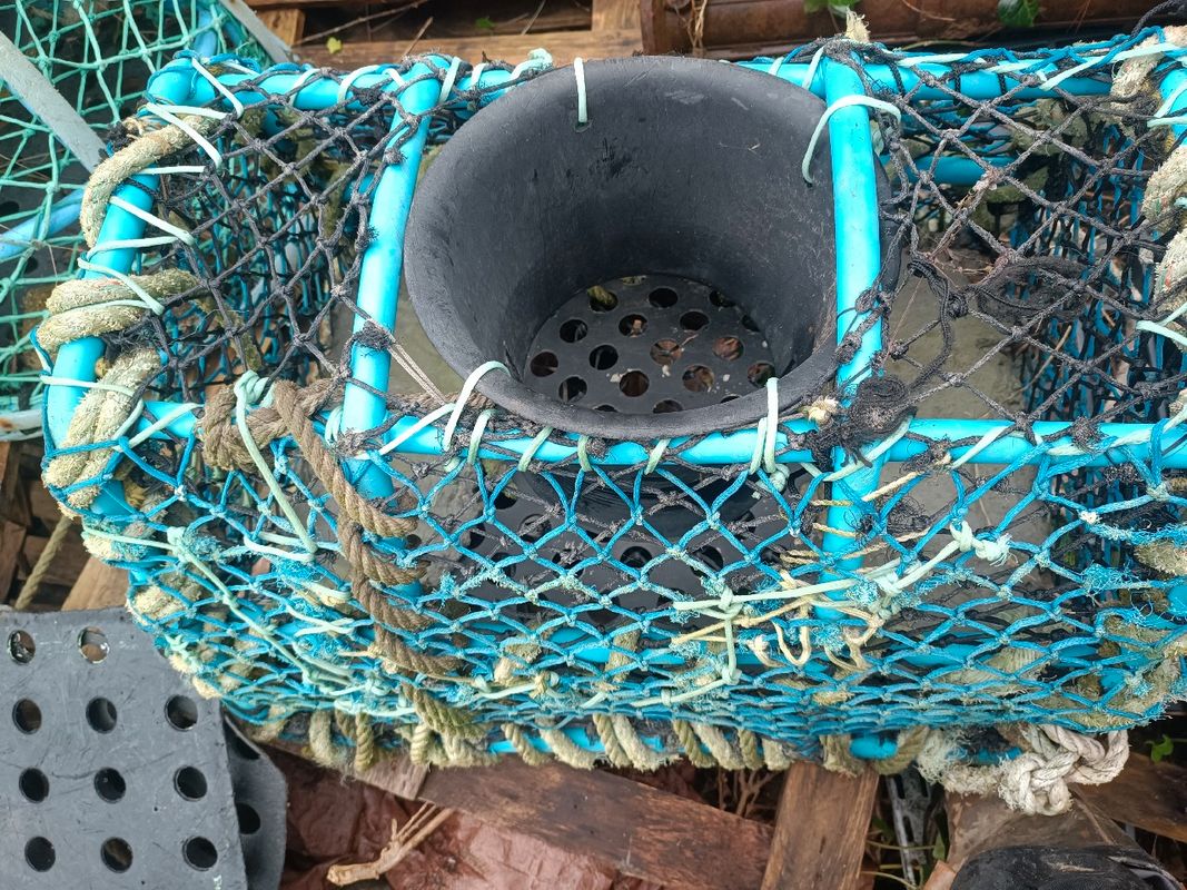Grillage plastique pour casiers pêche - Équipement nautisme