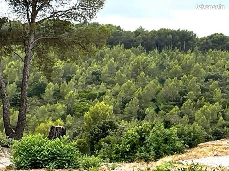 Local commercial 3 pièces 34 m² · à Le Castellet · 34 m² · 58 000 €